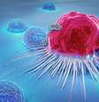 De acordo com Márcio Chaim, os camundongos que receberam a vacina conseguiram combater as células cancerígenas iniciais, mantiveram uma "memória" sobre elas e as eliminaram quando infectadas pela segunda vez.   Foto: Getty Images / BBCBrasil.com