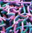Nova família de antibióticos foi batizada de 'maladicin' | Imagem: Science Photo Library  Foto: BBC News Brasil