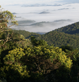 Parque Estadual da Serra do Mar, Santa Virgínia  Foto: Divulgação