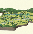 A BBC Brasil elaborou um mapa inédito da flora paulistana original marcada pela diversidade de biomas antes da colonização | Ilustração: Leandro Lopes de Souza  Foto: BBC News Brasil
