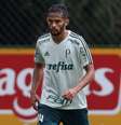 Gustavo Scarpa tem boas chances de começar uma partida pela primeira vez no Palmeiras  Foto: Cesar Greco/Palmeiras / LANCE!