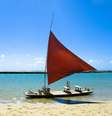 <p><strong>MURO ALTO</strong></p><p>Quem gosta de praias tranquilas, que mais se parecem com piscinas, precisa conhecer <a href="http://hoteis.guiadasemana.com.br/searchresults.pt-br.html?sid=5acd5d02596b4fc5c3b00a3f1cb7e9a8&sb=1&src=searchresults&src_elem=sb&error_url=http%3A%2F%2Fhoteis.guiadasemana.com.br%2Fsearchresults.pt-br.html%3Faid%3D1241759%3Bsid%3D5acd5d02596b4fc5c3b00a3f1cb7e9a8%3Bclass_interval%3D1%3Bdest_id%3D-663612%3Bdest_type%3Dcity%3Bdtdisc%3D0%3Bfrom_sf%3D1%3Bgroup_adults%3D2%3Bgroup_children%3D0%3Binac%3D0%3Bindex_postcard%3D0%3Blabel_click%3Dundef%3Bno_rooms%3D1%3Boffset%3D0%3Bpostcard%3D0%3Braw_dest_type%3Dcity%3Broom1%3DA%252CA%3Bsb_price_type%3Dtotal%3Bsearch_selected%3D1%3Bsrc%3Dindex%3Bsrc_elem%3Dsb%3Bss%3DPorto%2520de%2520Galinhas%252C%2520%25E2%2580%258BPernambuco%252C%2520%25E2%2580%258BBrasil%3Bss_all%3D0%3Bss_raw%3Dporto%2520de%3Bssb%3Dempty%3Bsshis%3D0%3Bssne_untouched%3DLins%26%3B&ss=Praia+do+Muro+Alto%2C+%E2%80%8BPorto+de+Galinhas%2C+%E2%80%8BPernambuco%2C+%E2%80%8BBrasil&ssne=Porto+de+Galinhas&ssne_untouched=Porto+de+Galinhas&city=-663612&checkin_monthday=&checkin_month=&checkin_year=&checkout_monthday=&checkout_month=&checkout_year=&no_rooms=1&group_adults=2&group_children=0&highlighted_hotels=&from_sf=1&ss_raw=muro+al&ac_position=0&ac_langcode=xb&dest_id=4567&dest_type=district&place_id_lat=-8.43598214465462&place_id_lon=-34.9821391248236&search_pageview_id=9162633abb850040&search_selected=true&search_pageview_id=9162633abb850040&ac_suggestion_list_length=5&ac_suggestion_theme_list_length=0#sort_by" target="_blank"><strong>Muro Alto</strong></a>. Parte de sua beleza se dá devido a uma barreira natural formada dentro do mar (que se assemelha a um muro), fator que deixa a água bem calma e sem ondulações. Barracas para petiscar completam a experiência.</p>  Foto: Shutterstock / Guia da Semana