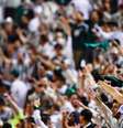 Torcida no segundo jogo entre Palmeiras e Santos no Pacaembu  Foto: FERNANDO DANTAS/Gazeta Press