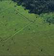Valas em formatos geométricos chamaram a atenção dos pesquisadores em áreas desmatadas da Amazônia  Foto: University of Exeter / BBC News Brasil