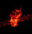 Foto mostra nave espacial chinesa perdida em queda no caminho de volta à Terra   Foto: BBC News Brasil