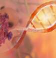 Ilustração de uma cadeia de DNA e uma célula cancerosa  Foto: iStock