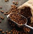 Grãos de café  Foto: Shutterstock / TudoGostoso