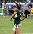 Palmeiras tenta comprovar a interferência externa na final do Paulista  Foto: LANCE!