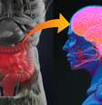 Pesquisadores acreditam que bactéricas do intestino podem ajudar na busca por soluções para doenças como depressão, autismo e mal de Parkinson  Foto: ChrisChrisW / Getty Images / BBC News Brasil