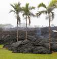 Lava na região de Leilani Estates por erupcão de vulcão Kilauea 
 8/5/2018     REUTERS/Terray Sylvester  Foto: Reuters