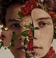 Shawn Mendes lança mais uma música de seu novo álbum. Gostaram de "Where Were You In The Morning?"?  Foto: Divulgação / PureBreak