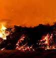 A lava da erupção do vulcão Kilauea atravessa rua no Havaí.  Foto: Marco Garcia / Reuters