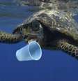 Animais marinhos como esta tartaruga muitas vezes ingerem lixo plástico  Foto: DW / Deutsche Welle
