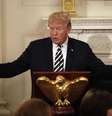 Trump recebe premier do Japão para discutir Coreia do Norte  Foto: ANSA / Ansa - Brasil