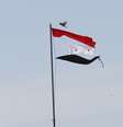 Bandeira rasgada da Síria é vista na cidade de Qamishli  Foto: Rodi Said / Reuters