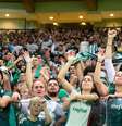 Allianz Parque deverá receber grande público na próxima quarta  Foto: DJALMA VASSÃO / Gazeta Press