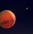 Foto: Tokarsky / iStock