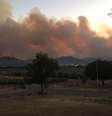 Fumaça cobre parte do céu devido a incêndio florestal na Califórnia  Foto: Departamento de Proteção Florestal da Califórnia / via Reuters