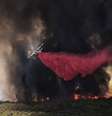 Avião combate chamas de incêndio em floresta da Califórnia 04/07/2018 Cortesia do Departamento Florestal e de Proteção contra Incêndios da Califórnia/Divulgação via Reuters  Foto: Reuters