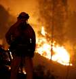 Bombeiro observa incêndio na Califórnia
27/07/2018
REUTERS/Fred Greaves  Foto: Reuters