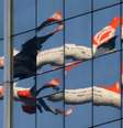 Imagem do avião da Gol refletida em um prédio ao decolar do aeroporto de Congonhas, em São Paulo 25/08/2017. REUTERS/Paulo Whitaker   Foto: Reuters