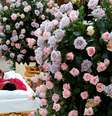 Corpo da cantora norte-americana Aretha Franklin no caixão durante velório em Detroit 28/08/2018
Paul Sancya/ Pool via REUTERS  Foto: Reuters