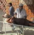 Homem fica ferido após atentado em Nangarhar, no Afeganistão  Foto: REUTERS/Stringer / Reuters