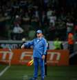 O técnico do Palmeiras, Luiz Felipe Scolari, à beira do campo contra o Cruzeiro  Foto: Alexandre Schneider / Getty Images 