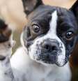  Foto: iStock