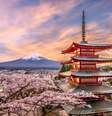 Fuji,na primavera, com flores de cerejeira  Foto: iStock