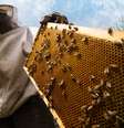  Foto: Flyparade / iStock