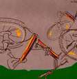 Ilustração mostra bicicleta quebrada e caída no chão  Foto: BBC News Brasil