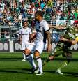 Bruno Henrique do Palmeiras comemora seu gol. Partida entre Palmeiras e Ceara, valida pela 30a rodada do Campeonato Brasileiro 2018, realizada no Estadio do Pacaembu, na zona central da capital paulista, neste domingo (21).  Foto:  Gero Rodrigues/O Fotografico / Gazeta Press