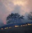 Incêndio na California deixa ao menos 9 mortos  Foto: ANSA / Ansa - Brasil