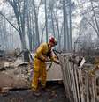 Bombeiro inspeciona casa destruída por incêndio florestal em Paradise, na Califórnia 14/11/2018 REUTERS/Terray Sylvester   Foto: Reuters