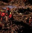 Equipes de resgate fazem buscas em Brumadinho
28/01/2019 REUTERS/Adriano Machado  Foto: Reuters