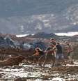 Equipe de resgate voluntária tentam salvar uma vaca presa no lamaçal de rejeitos de ferro desde a sexta-feira, quando a barragem da mineiradora VALE, rompeu devastando e destruindo tudo por onde passou. Pela dificuldade da remoção, o animal teve de ser sacrificado.   Foto: Wilton Junior / Estadão
