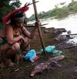 Indígena da tribo Pataxó Hã-hã-Hãe observa peixe morto na margem do rio Paraopeba  Foto: Adriano Machado / Reuters