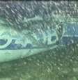 Destroços de avião que levava jogador Emiliano Sala encontrados no fundo do mar perto de Guernsey, no Canal da Mancha
03/02/2019
AAIB/ via REUTERS TV  Foto: Reuters
