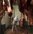 Trabalhador corta carnes em frigorífico
17/07/2013
REUTERS/Kacper Pempel  Foto: Reuters