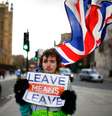 Manifestante pró-Brexit em frente ao Parlamento, em Londres
07/02/2019
REUTERS/Henry Nicholls  Foto: Reuters
