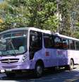 Ônibus lilás contra assédio estará nos blocos de maior concentração  Foto: Divulgação SMDHC / Estadão