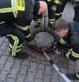 Bombeiros montaram uma operação razoavelmente grande para salvar o rato.  Foto: Ratte steckt im Gulli fest (2019)/YouTube/Reprodução / Estadão