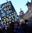 Protestante anti-brexit  Foto: Dylan Martinez / Reuters