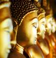 Budas  Foto: iStock