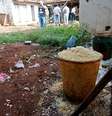 Alojamento de trabalhadores que fazem corte de cana-de-açúcar é encontrado em condições precárias, no município de Polôni, na região de São José do Rio Preto, interior do Estado de São Paulo, em 2007  Foto: Jonne Roriz / Estadão