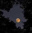 Quais signos serão mais impactados pela Lua Nova do dia 05?  Foto: iStock