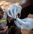 OMS lança 1º teste em grande escala de vacina contra malária  Foto: ANSA / Ansa