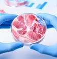 A empresa americana Beyond Meats, que faz versões de carnes vegetais, disse que espera levantar US$ 200 milhões em sua oferta pública de ações  Foto: nevodka / iStock