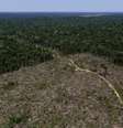 Área desmatada da Amazônia  Foto: Bruno Kelly / Reuters